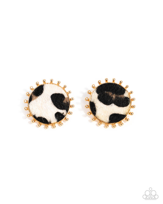 Cowhide Couture - Brown Cow-print Gold Post Earrings - Paparazzi Accessories
