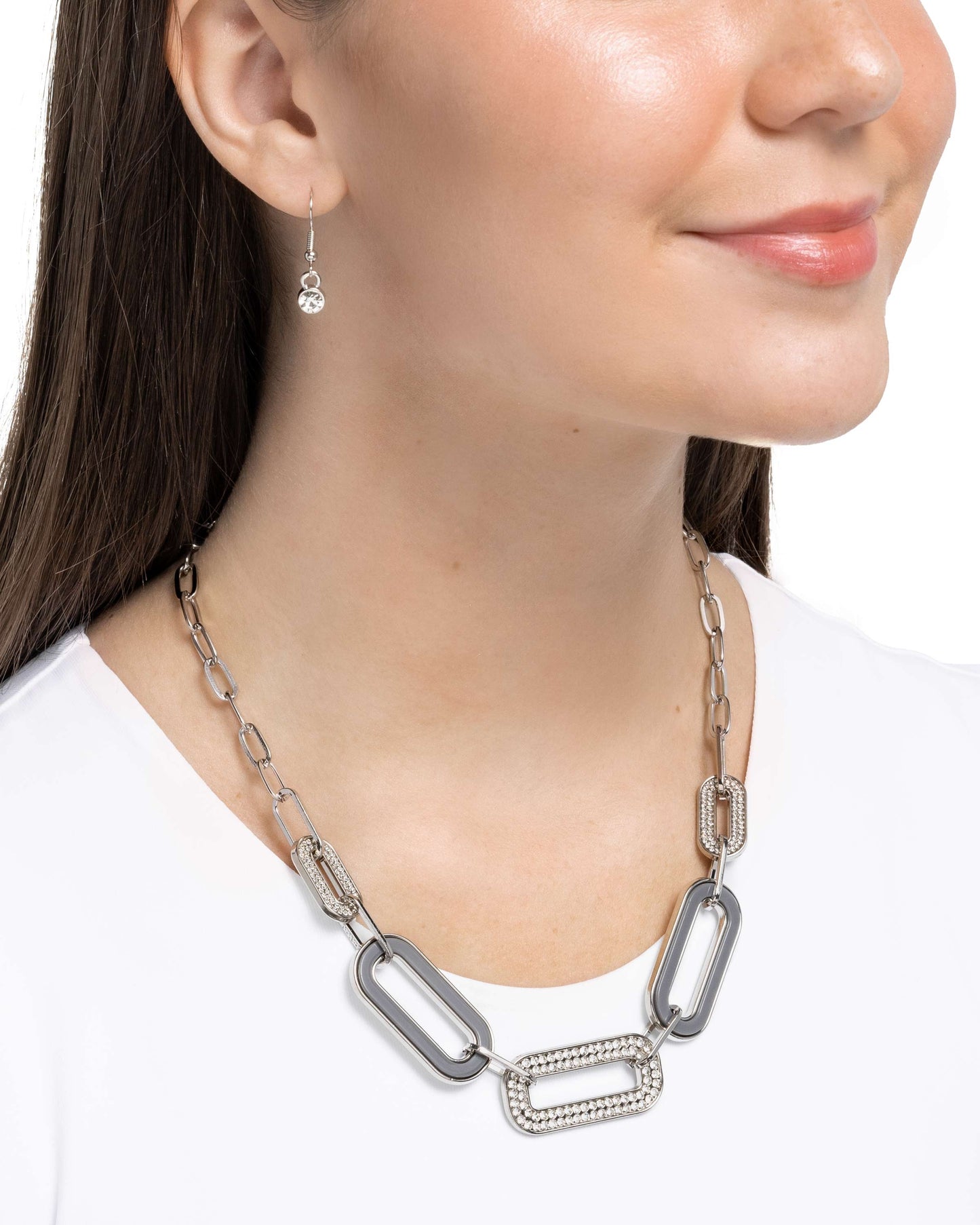 Painted Paladin - Silver