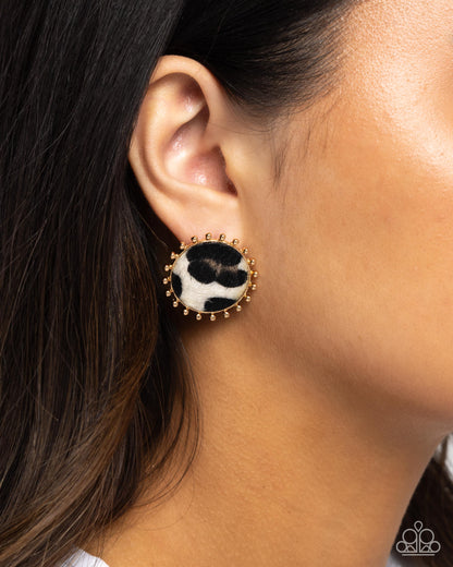 Cowhide Couture - Brown Cow-print Gold Post Earrings - Paparazzi Accessories