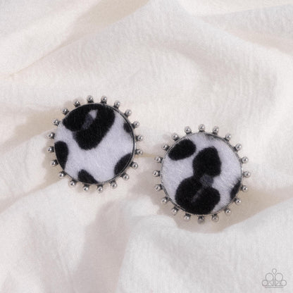 Cowhide Couture - Black Cow-print Silver Post Earrings - Paparazzi Accessories