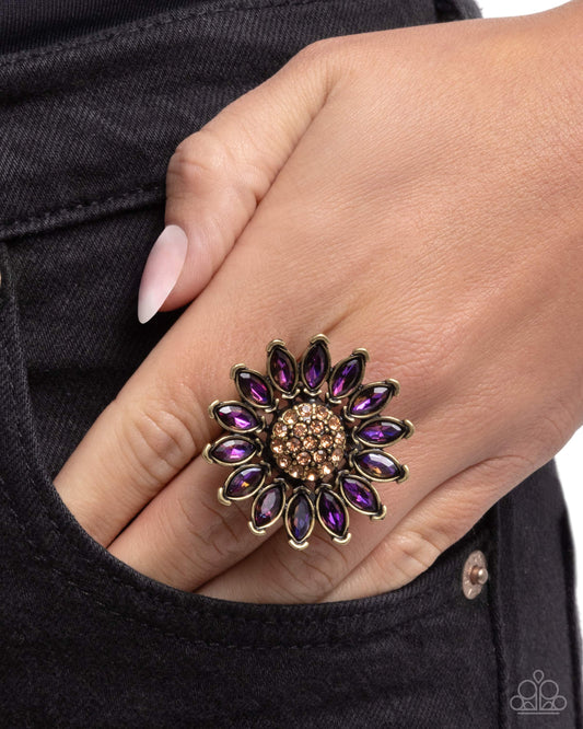 Sunflower Setting - Brass and Purple Rhinestone Ring - Paparazzi Accessories