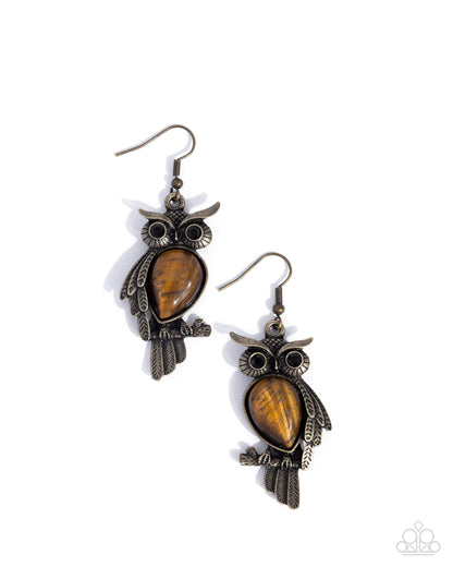 Owl Observation - Brass Owl, Brown Tiger's Eye Fishhook Earrings - Paparazzi Accessoreis