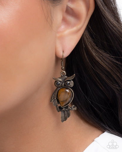 Owl Observation - Brass Owl, Brown Tiger's Eye Fishhook Earrings - Paparazzi Accessoreis