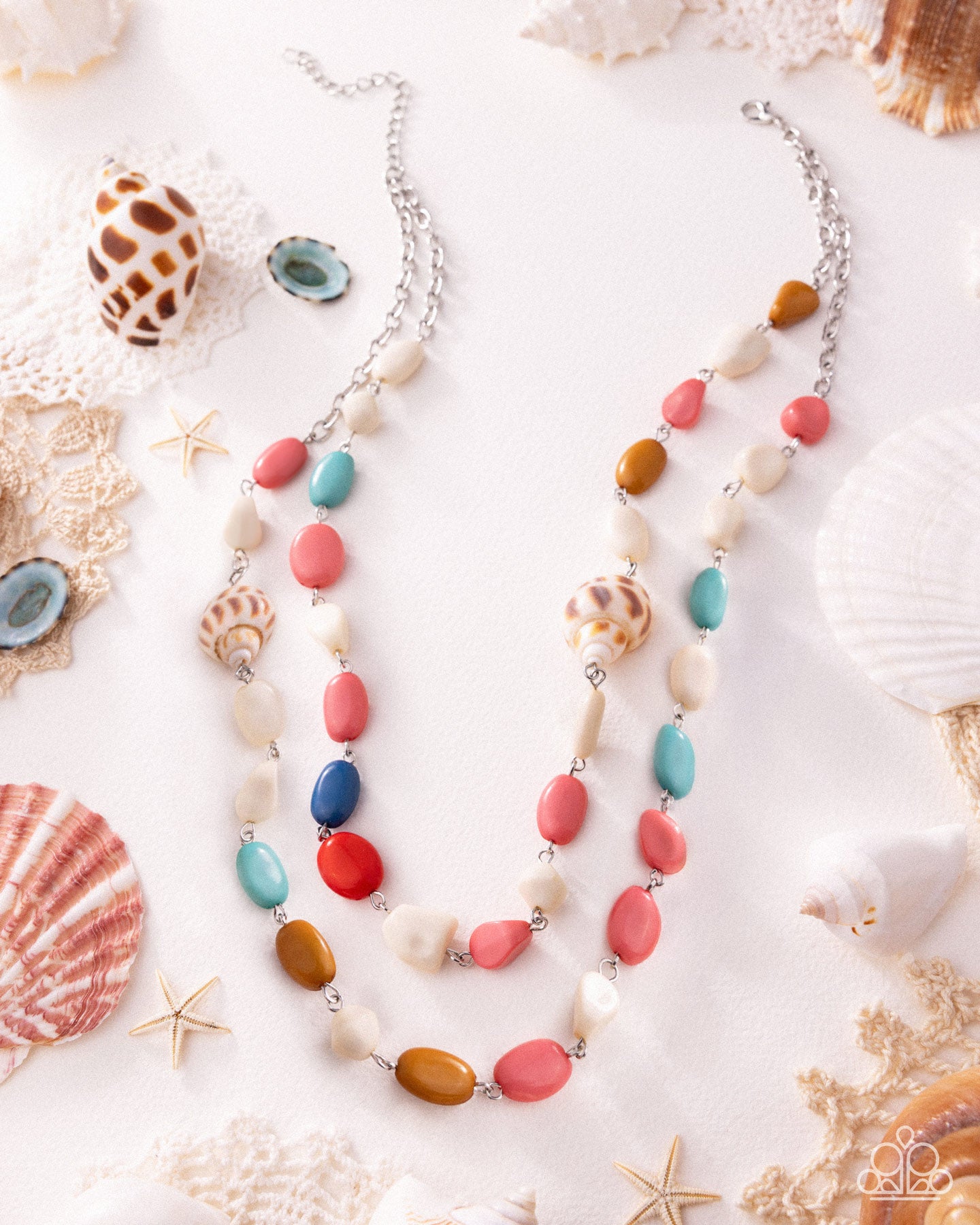 Steady Shells - Multi