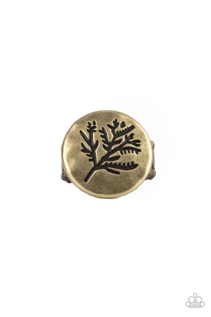 Branched Out Beauty - Brass Tree Ring - Paparazzi Accessories