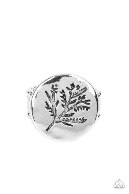 Branched Out Beauty - Silver Tree Ring - Paparazzi Accessories