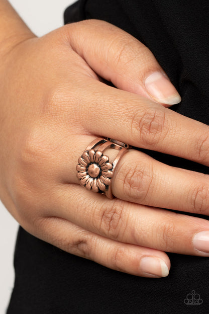 Roadside Daisies - Copper Flower Ring - Paparazzi Accessories